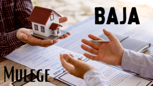 Expert Advice on Purchasing Homes in Baja: Making Informed Decisions