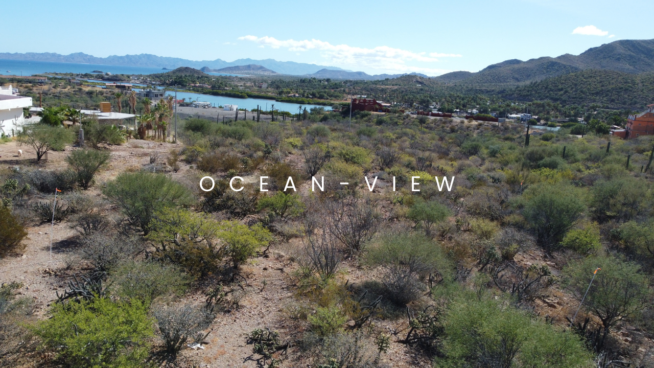 A Comprehensive Guide to Real Estate Transactions in Mulege, Mexico for