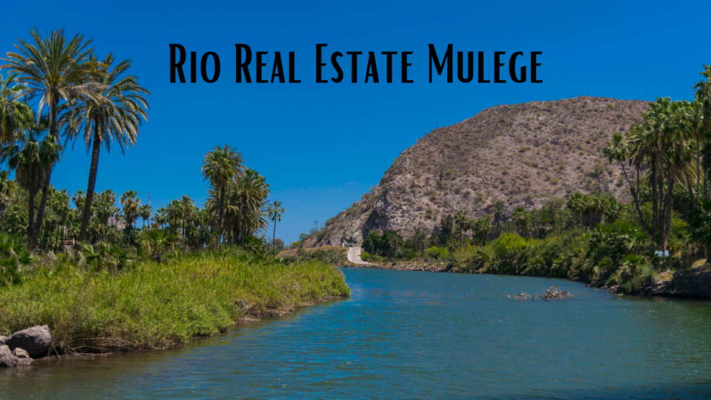 Rio Real Estate Mulege, Real Estate Mulege, Mulege Property for Sale, Baja California Sur Real Estate, American Buyers in Mexico, English Speaking Real Estate Agents Mulege, Buying Property in Mexico, Beachfront Homes Mulege, Mulege Real Estate Listings, Investment Property Mulege Baja Mexico, Mulege Homes for Sale, Rio Real Estate Mulege, Mulege Real Estate Market, Bilingual Real Estate Agents Mexico, Property Purchase Baja Mexico, Mulege Vacation Homes