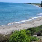 2bcfe89f-4485-4c3a-82c4-be15f4ac4a5e