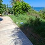 2f61b2df-a849-415f-bb83-7823fd710f4b