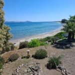 568929e4-2973-48f2-9102-d1c95e3a27b2