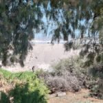 867e2aaa-bff0-467c-b10d-3773bce97ce3