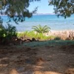 cb185b1e-e257-47cb-ba3b-0863b6dd6c3e