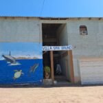 e1ae3b47-74f0-4b33-996d-392a8e809041