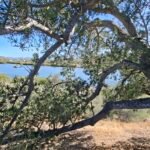 Mulegé Baja View Lot for Sale | Titled Land with Utilities