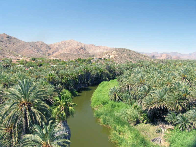 Mulegé River oasis date palm real estate Baja California Sur Mexico