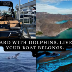 “TITLED LOT – MULEGÉ BAJA $29,000 USD WhatsApp +1-951-577-5097” (1)