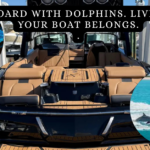 “TITLED LOT – MULEGÉ BAJA $29,000 USD WhatsApp +1-951-577-5097” (2)