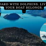 “TITLED LOT – MULEGÉ BAJA $29,000 USD WhatsApp +1-951-577-5097” (3)